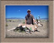 Antelope Hunting colorado