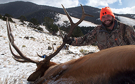 Colorado Elk, Antelope and Mule Deer Hunts